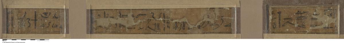 Hieroglyphischer Papyrus, Totenbuch des königlichen Schreibers Nacht-Amun