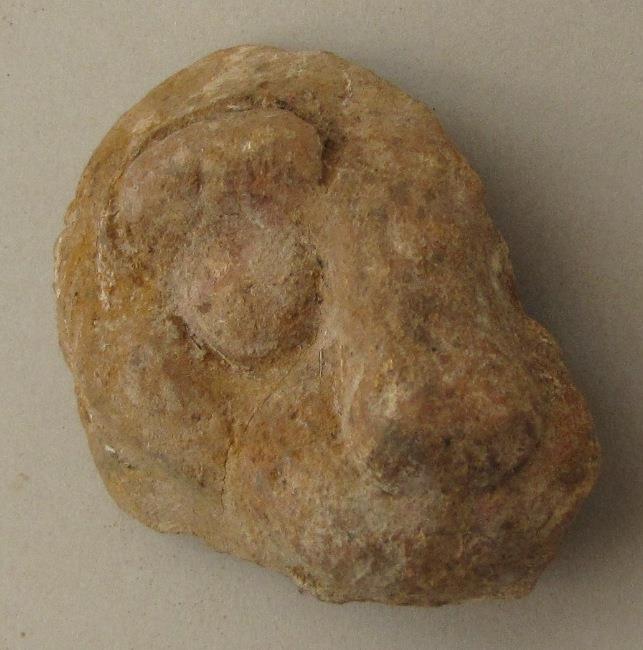 IV Ca 21811 b