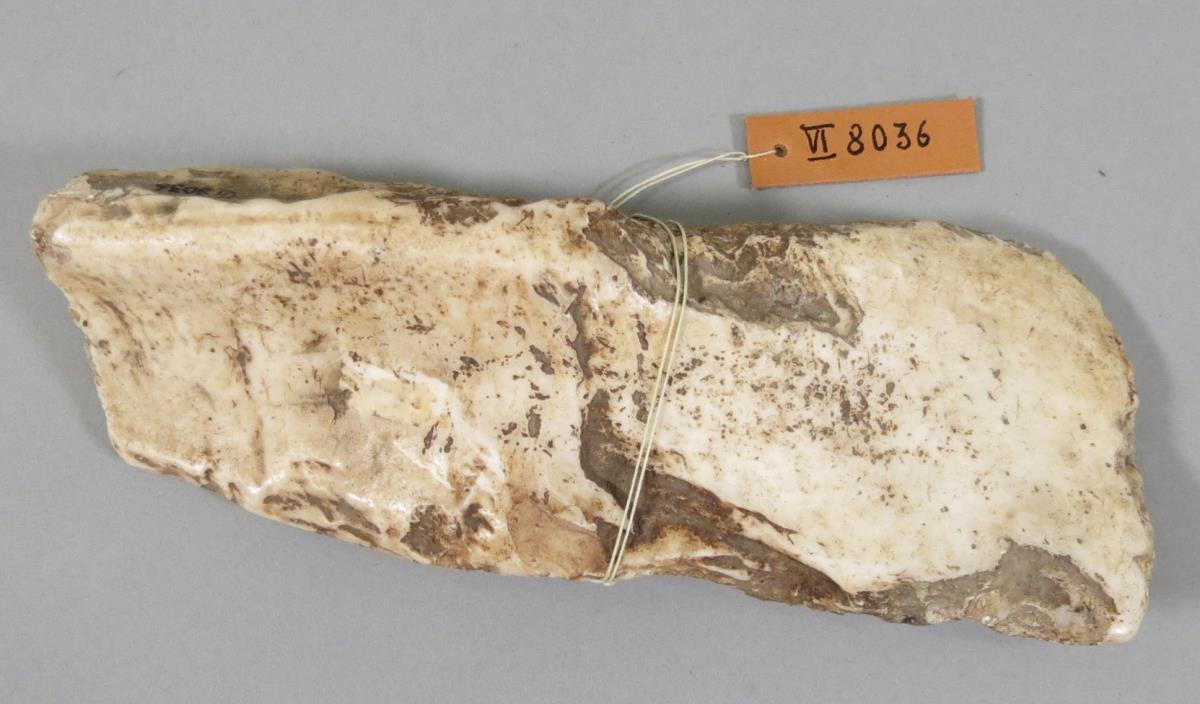 VI 8036