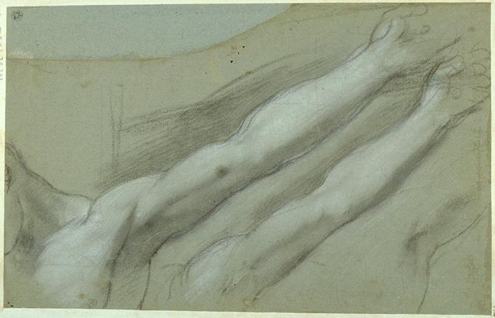 Studie für den linken Arm des Gekreuzigten für die Kreuzigung in Urbino (Galleria Nazionale delle Marche)