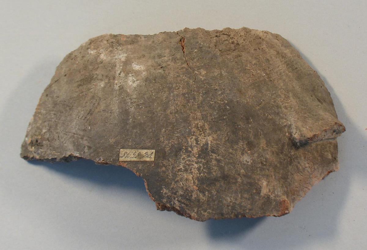 V C 8578