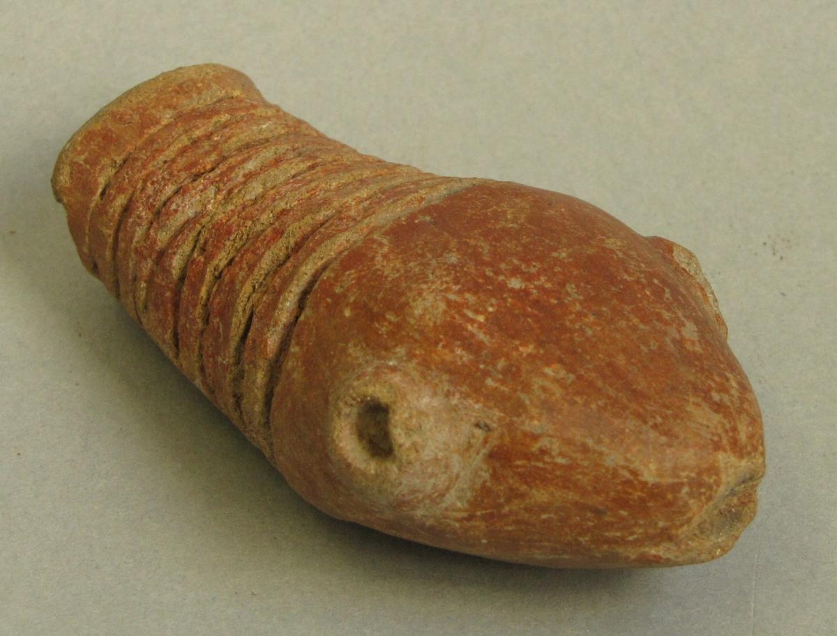 Schlangenkopf