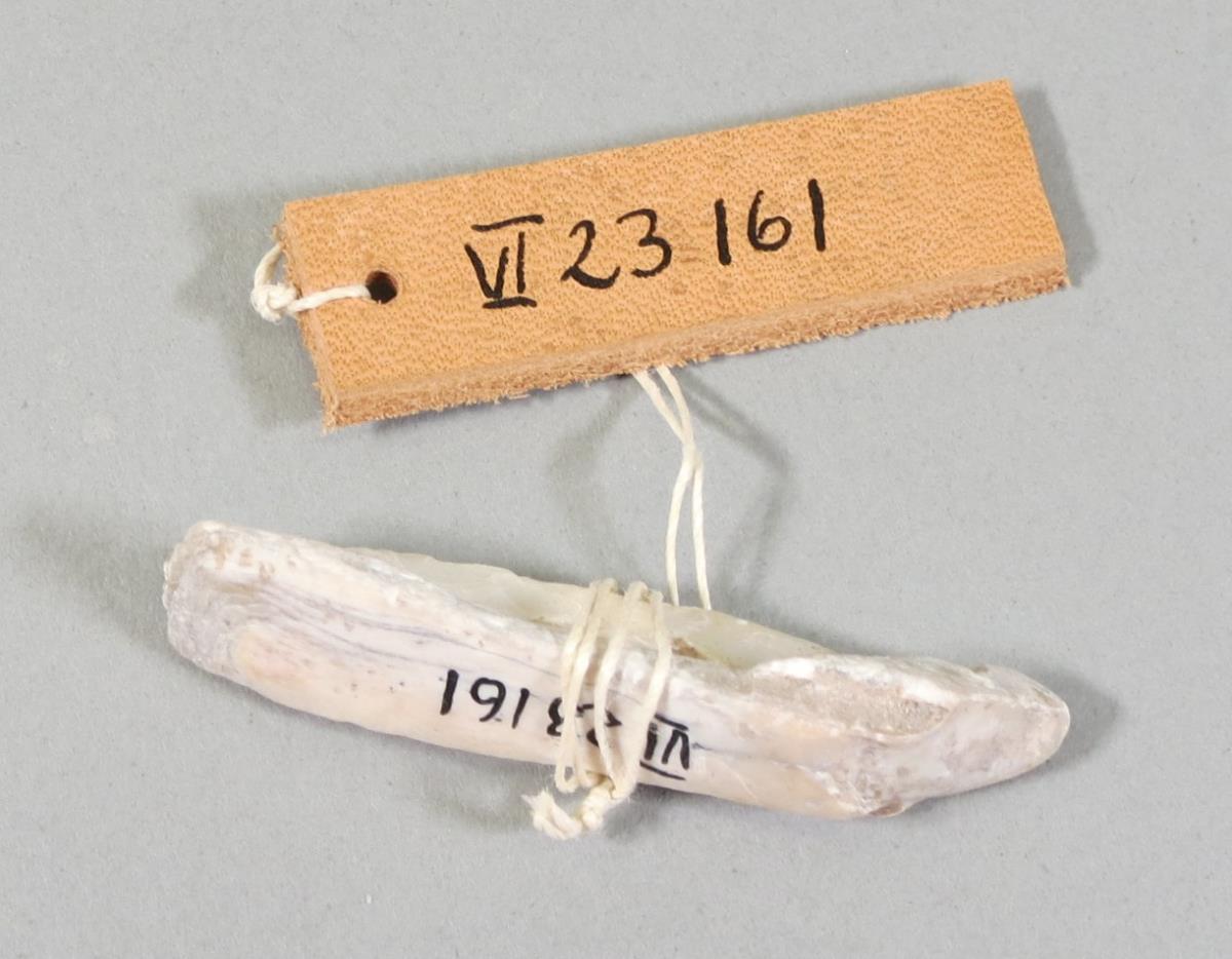 VI 23161