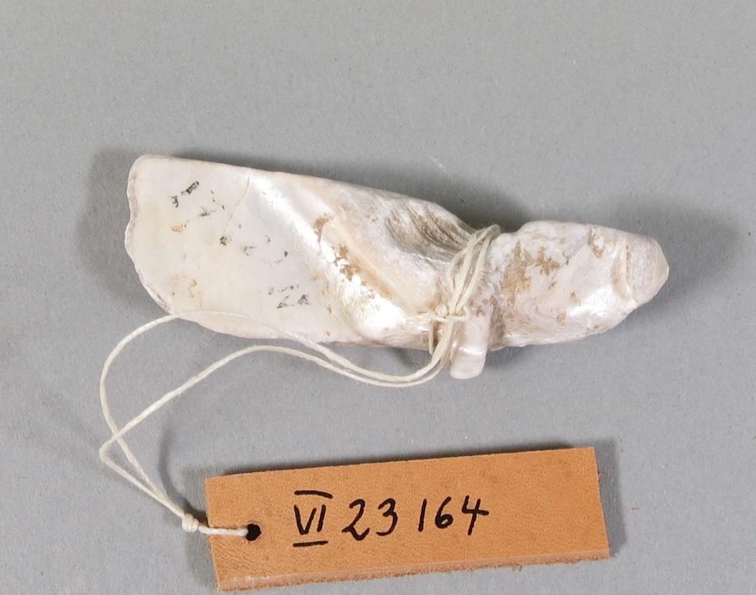 VI 23164