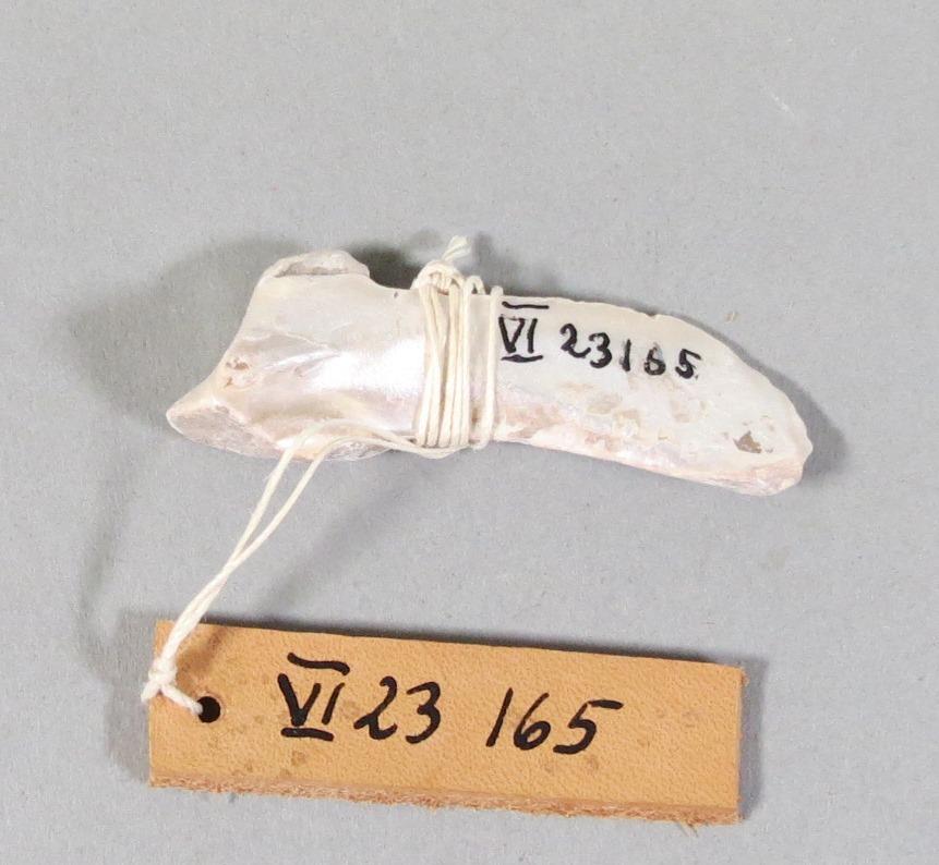 VI 23165