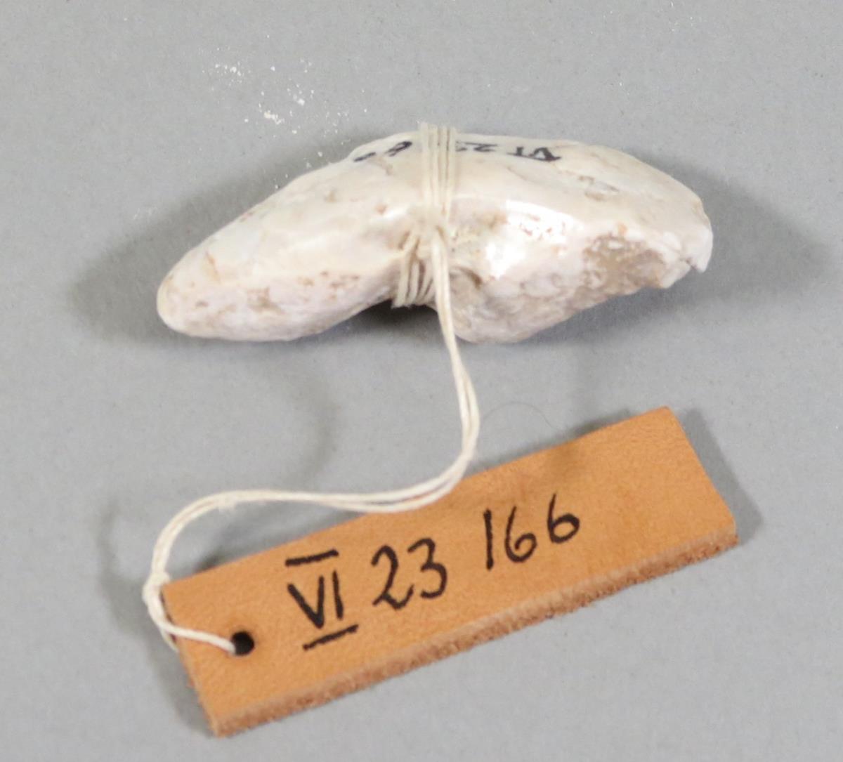 VI 23166