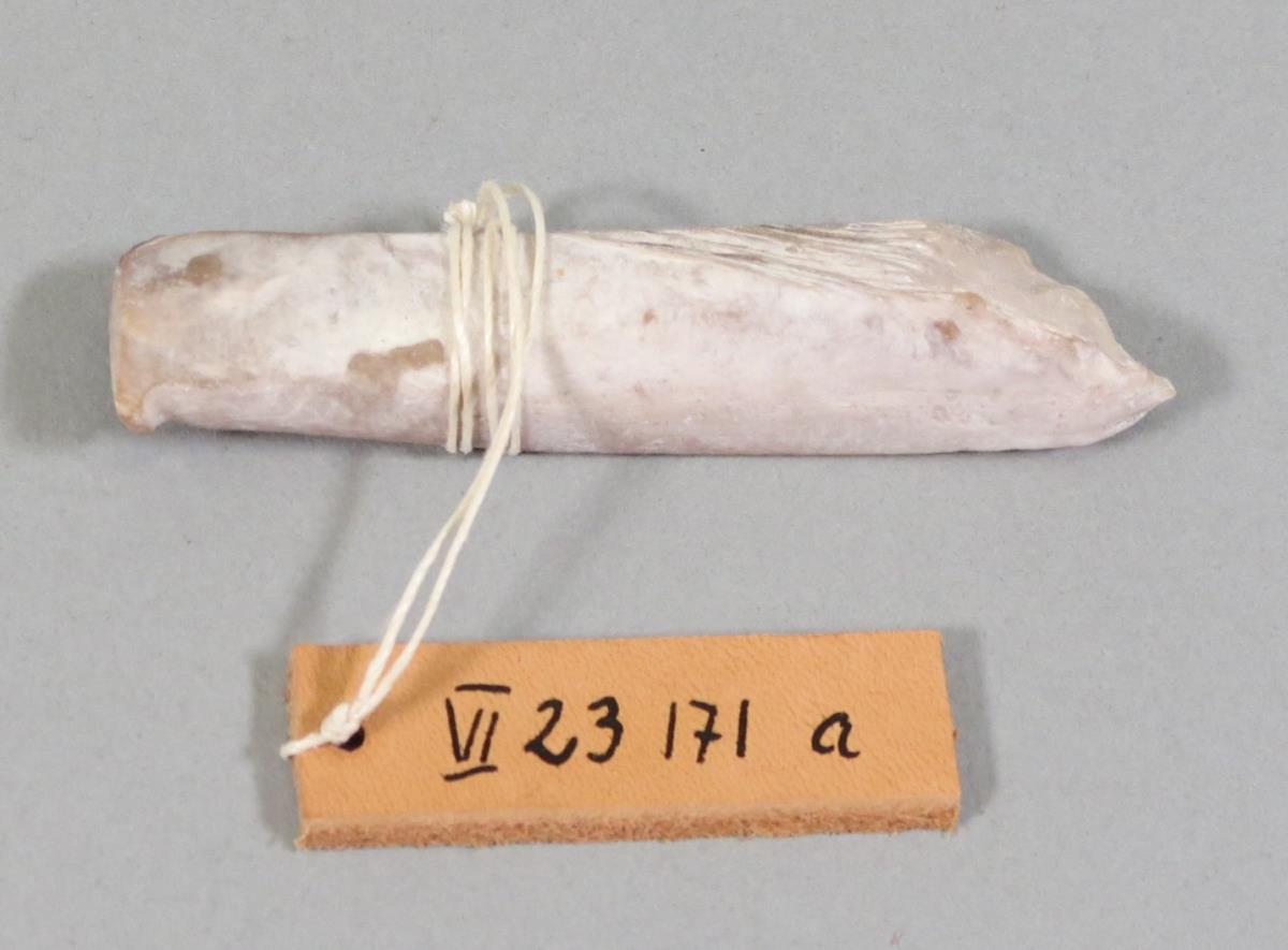 VI 23171 a