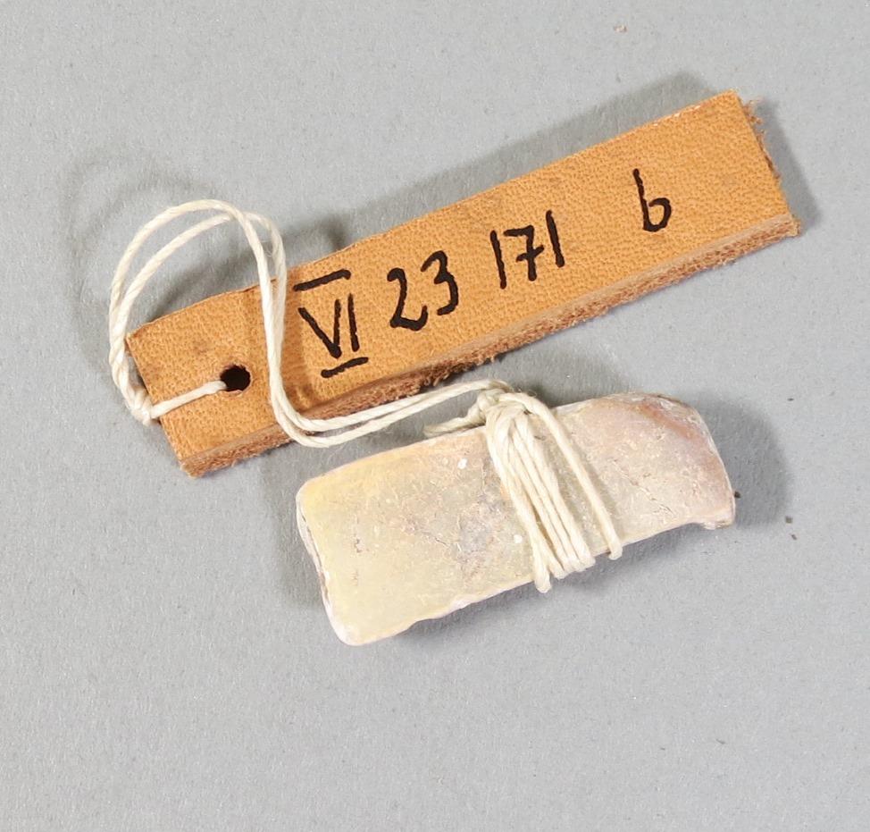 VI 23171 b