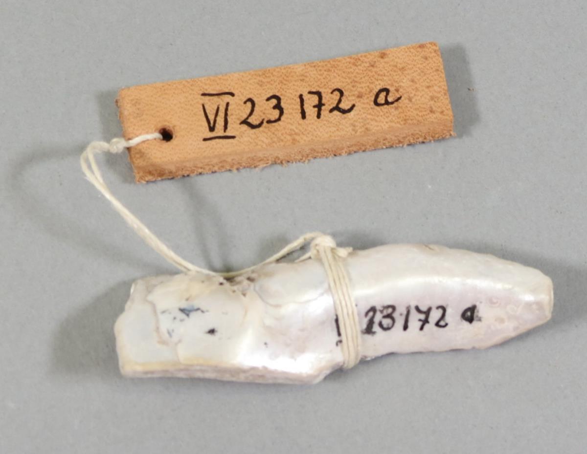 VI 23172 a