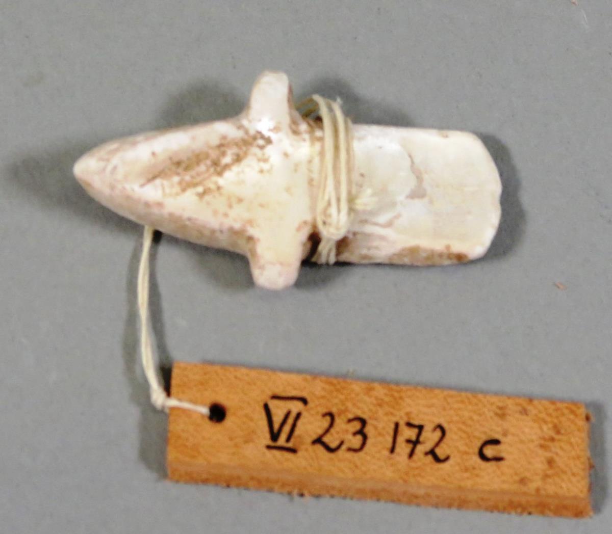VI 23172 c