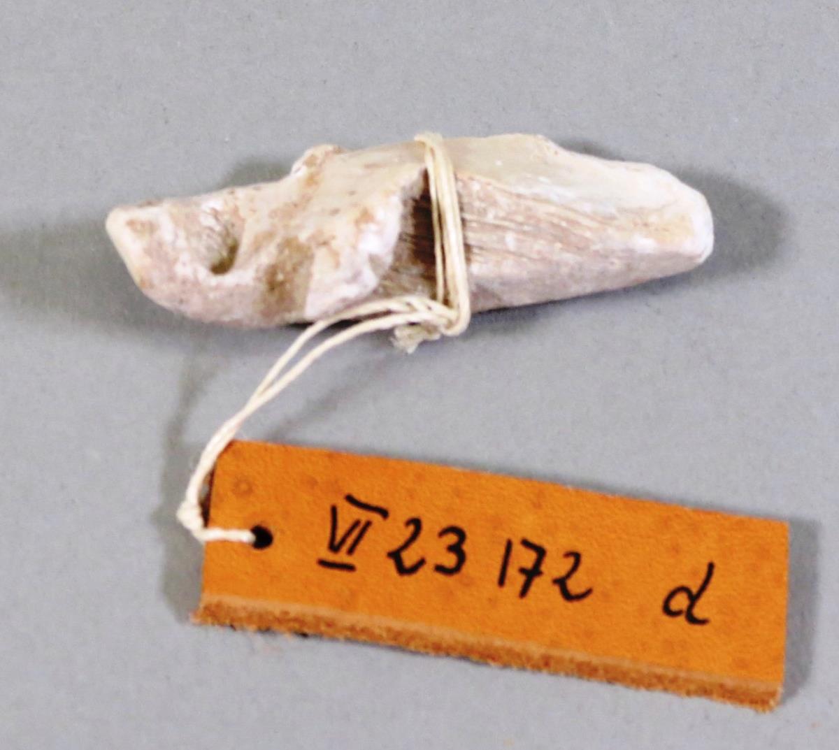 VI 23172 d