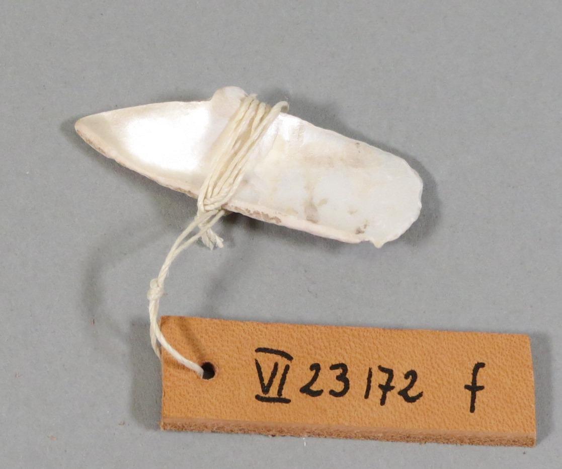 VI 23172 f