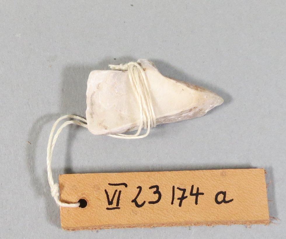 VI 23174 a