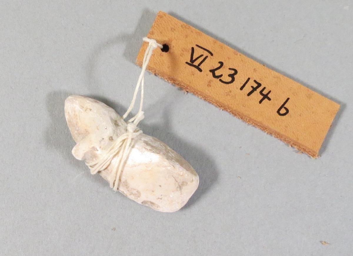 VI 23174 b