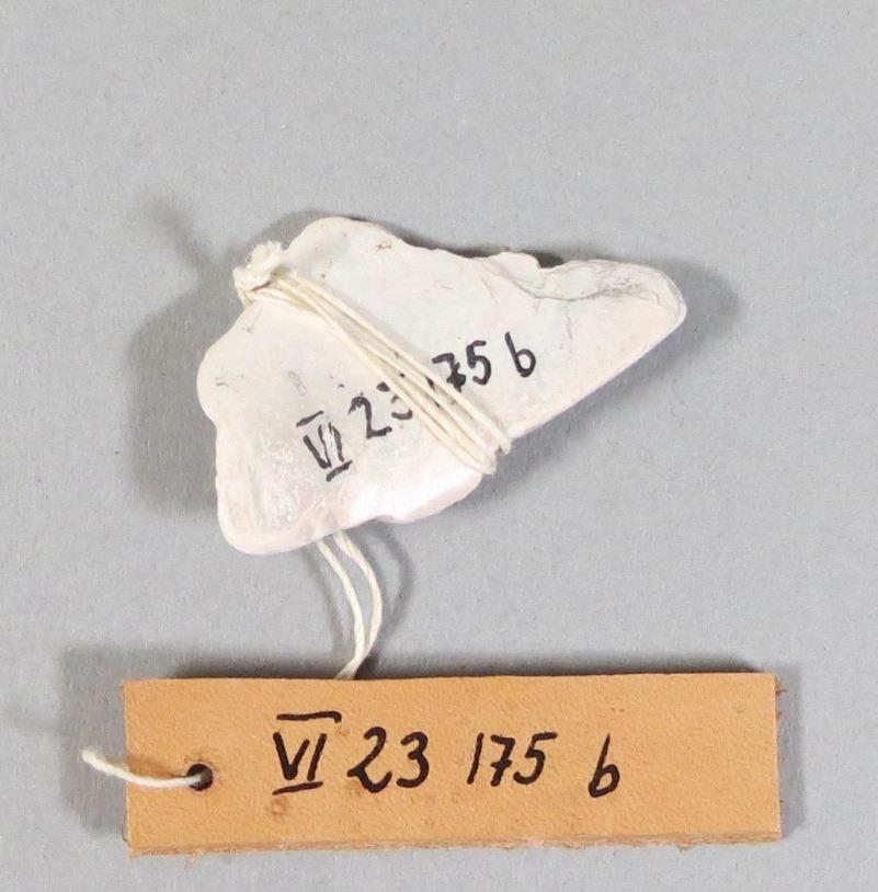 VI 23175 b