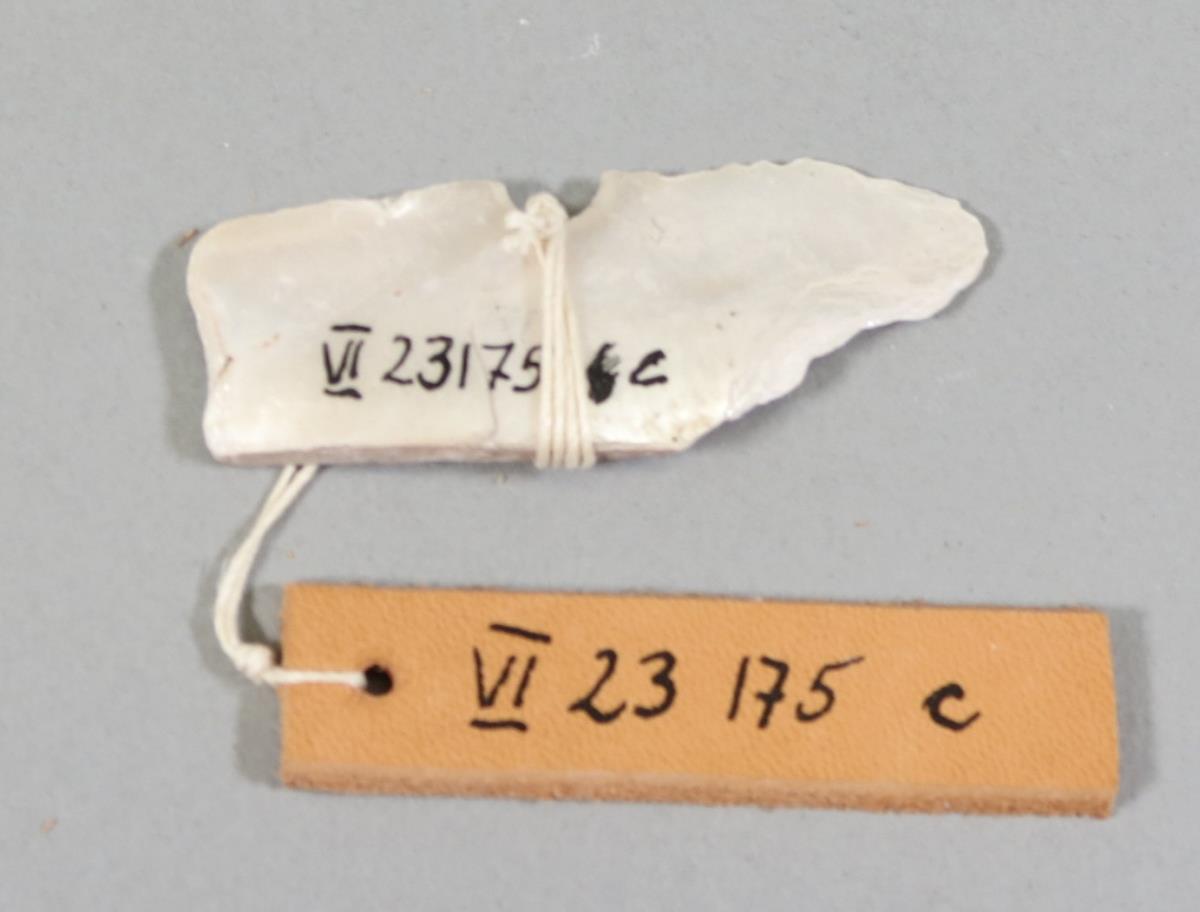 VI 23175 c