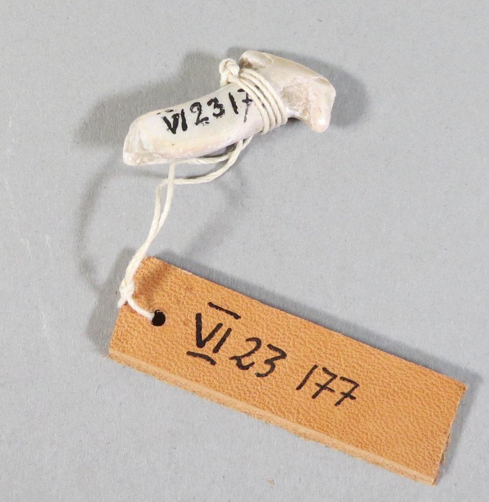 VI 23177