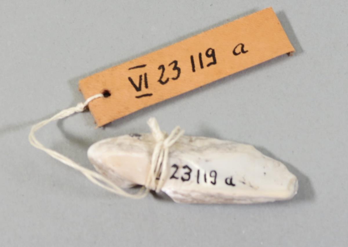 VI 23119 a