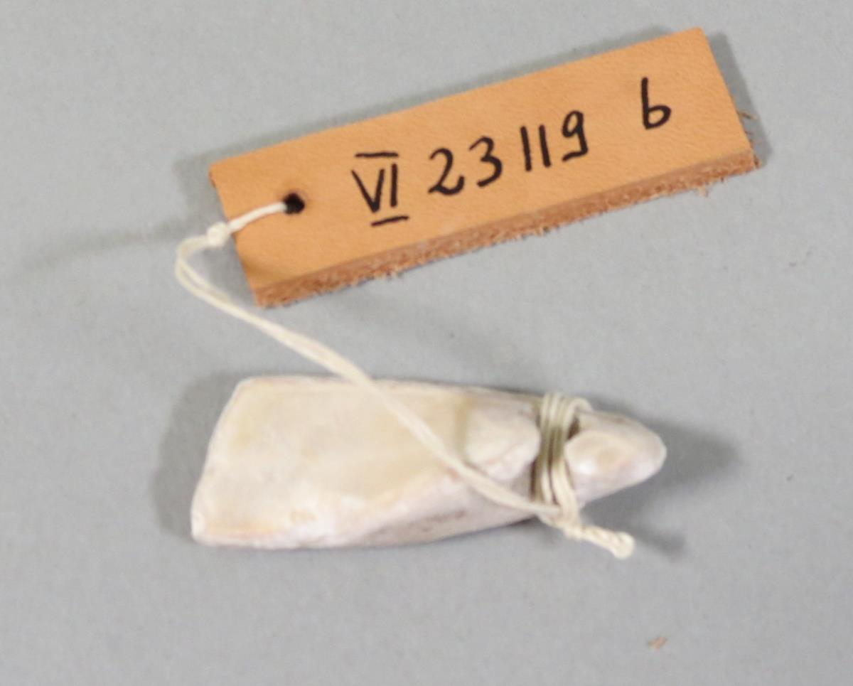 VI 23119 b