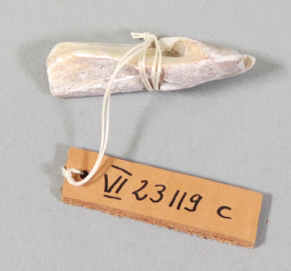 VI 23119 c