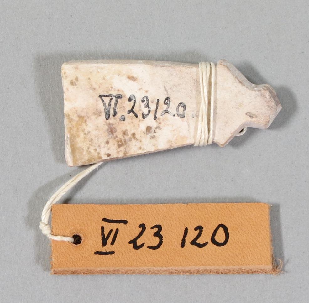 VI 23120