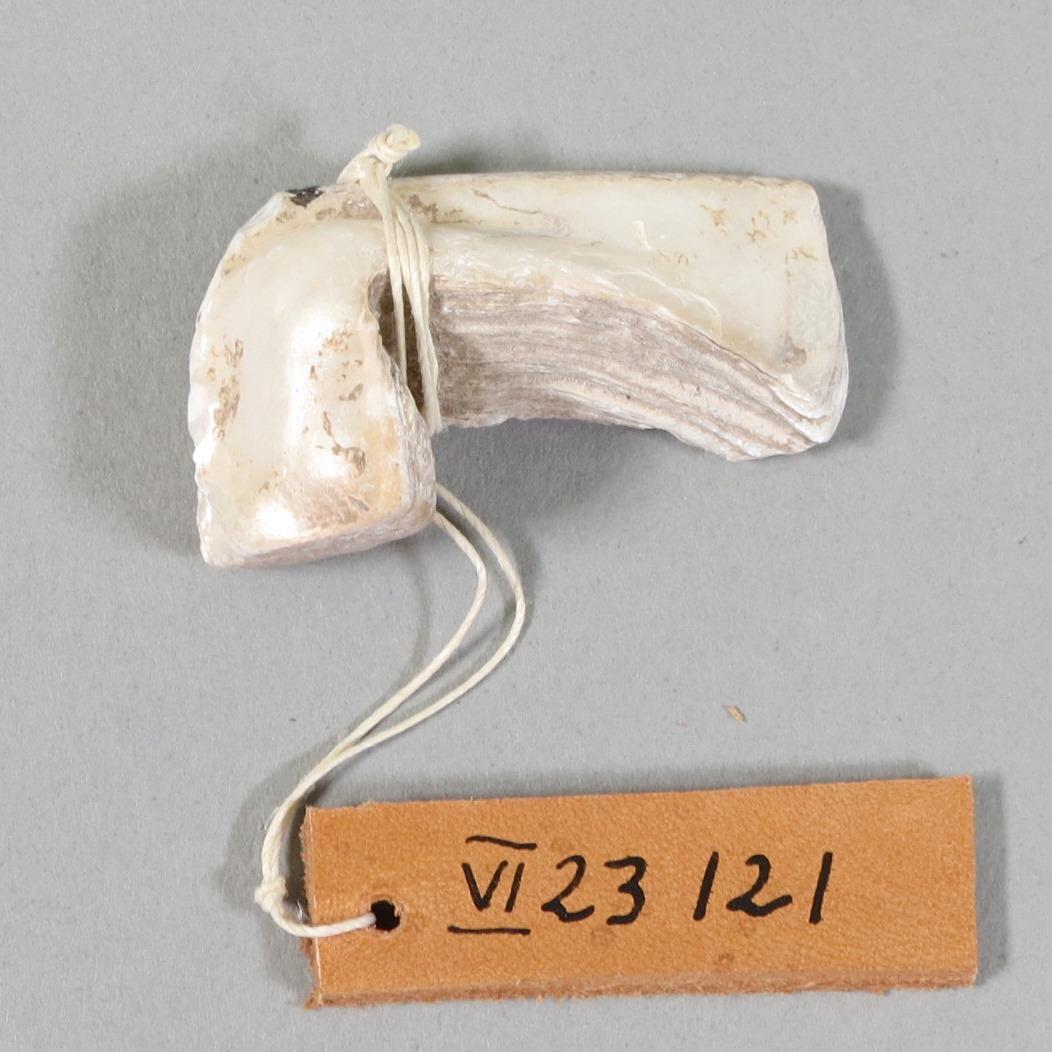 VI 23121