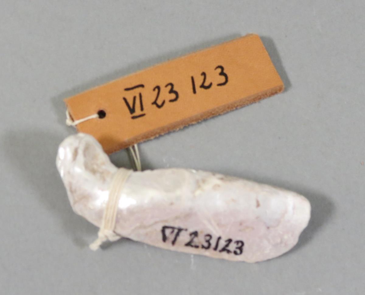 VI 23123