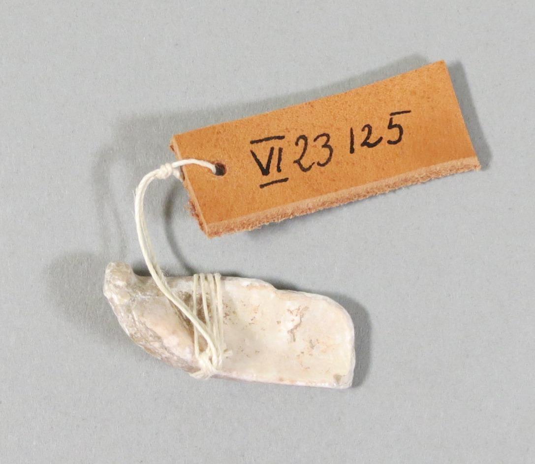 VI 23125