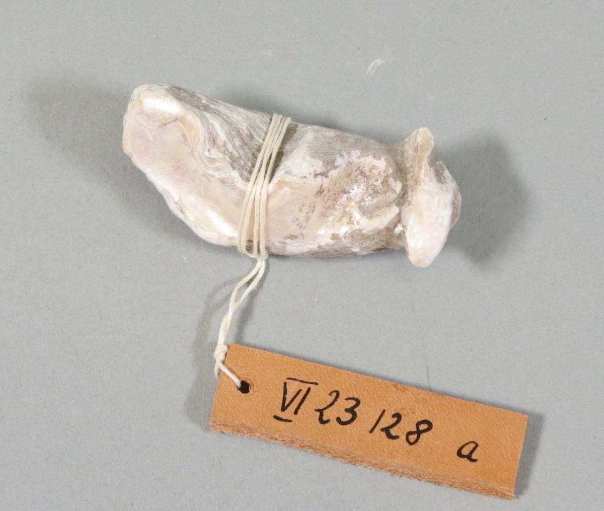 VI 23128 a