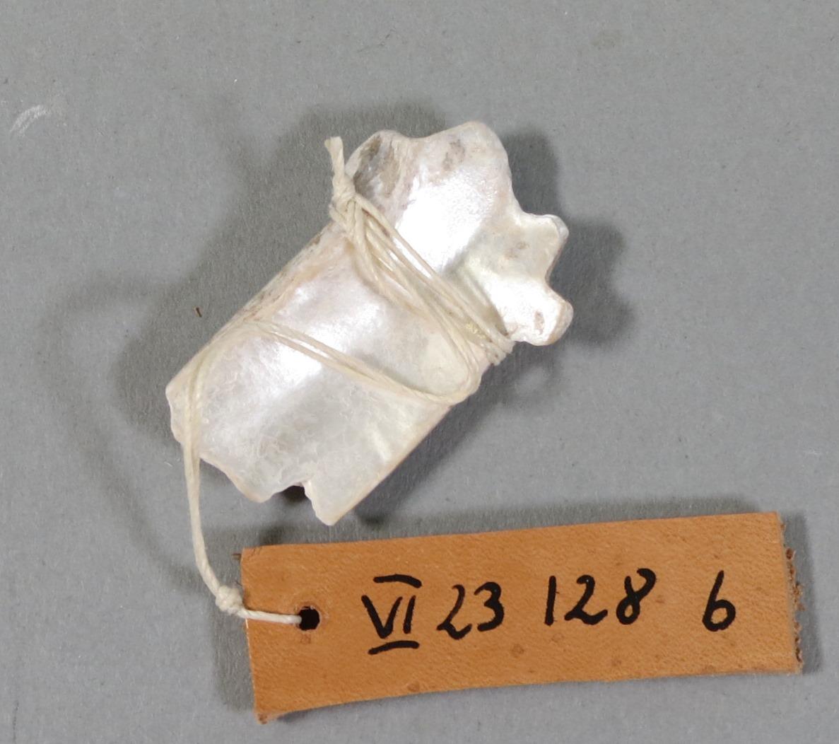 VI 23128 b