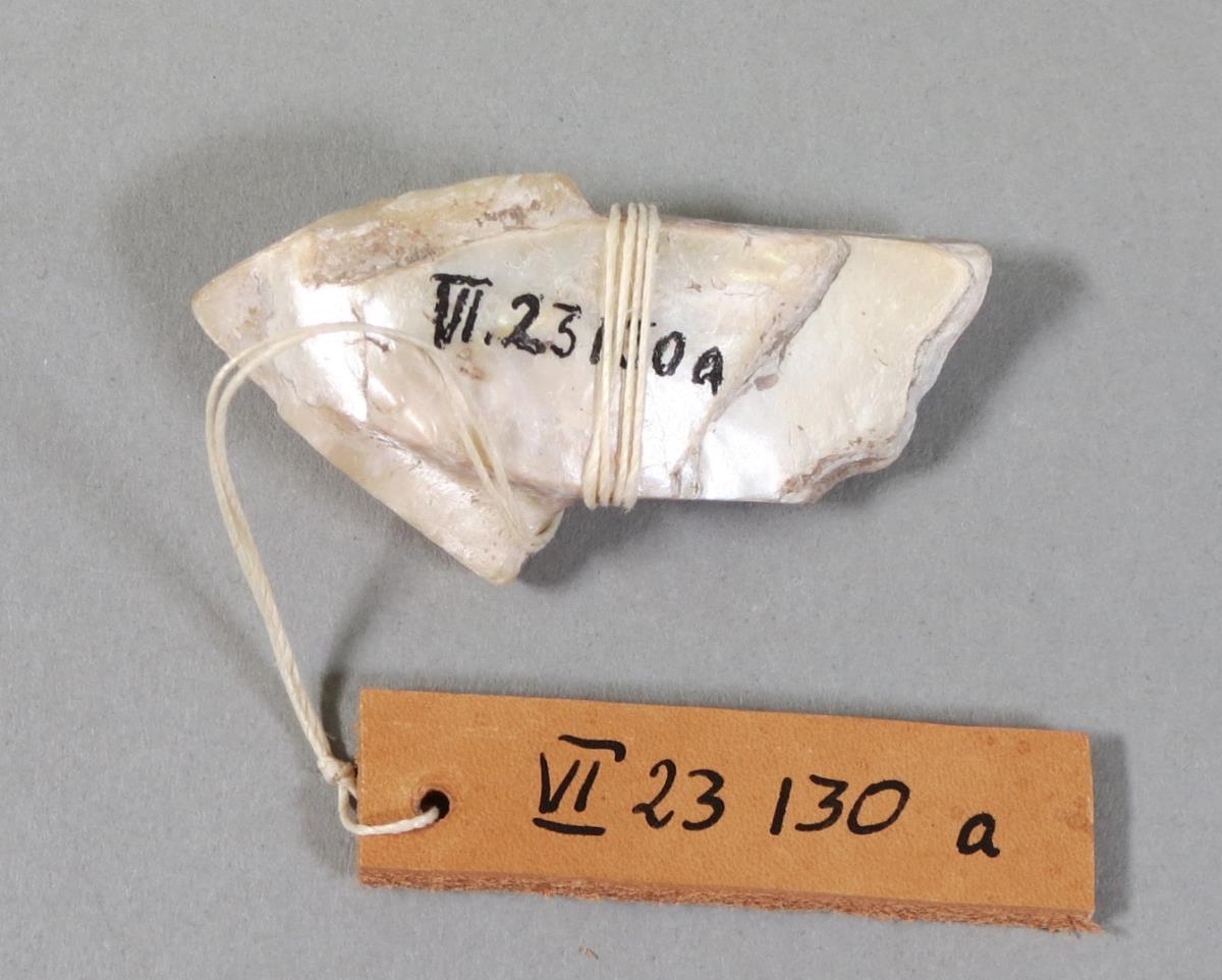 VI 23130 a
