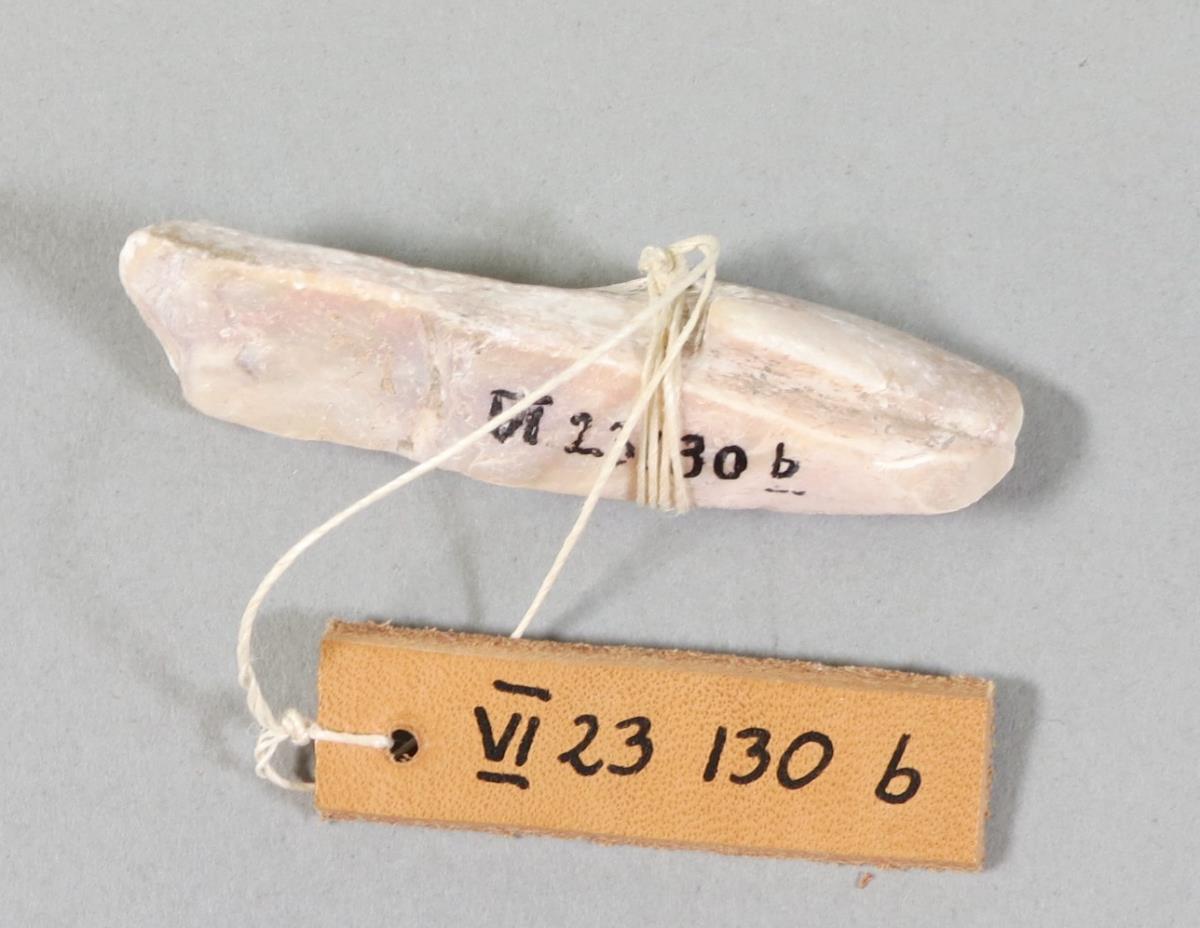 VI 23130 b