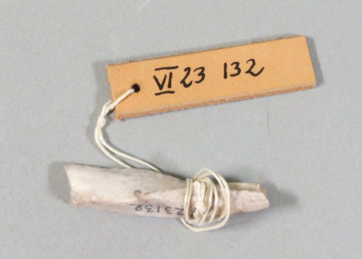 VI 23132