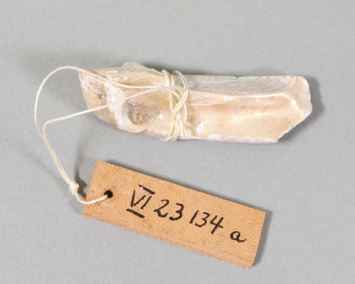 VI 23134 a