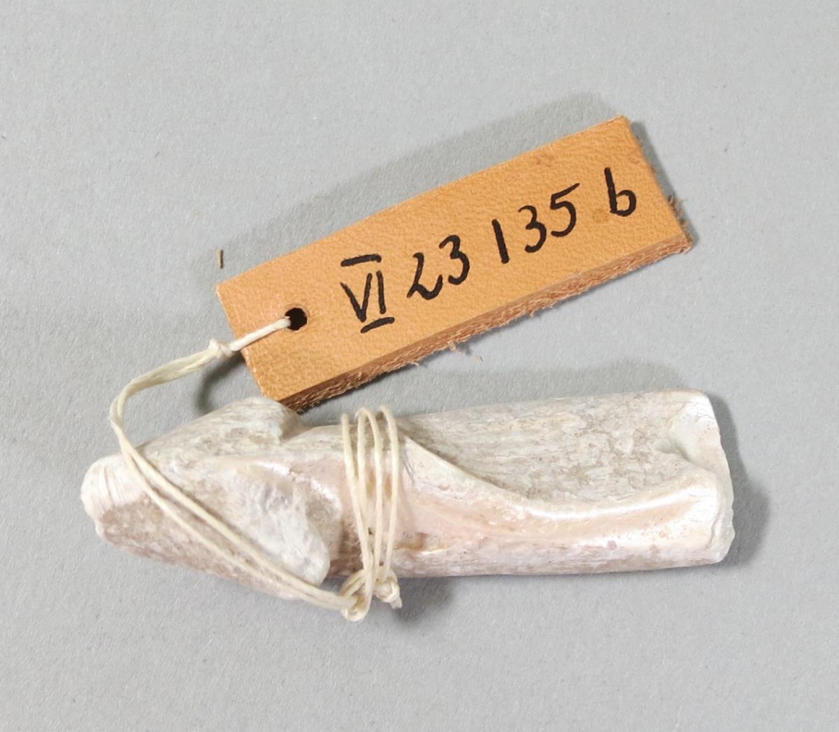 VI 23135 b