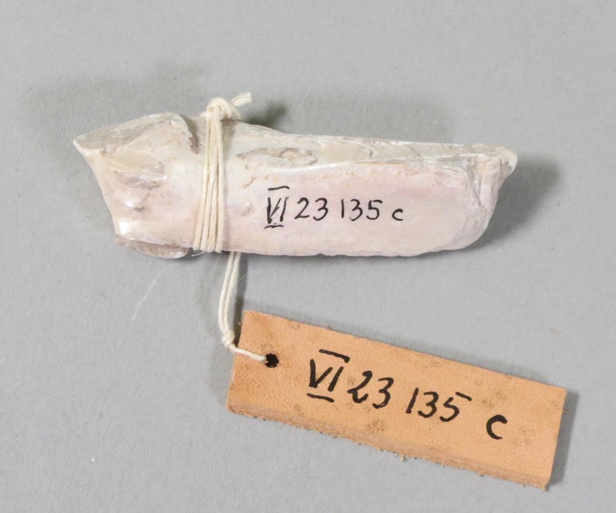 VI 23135 c