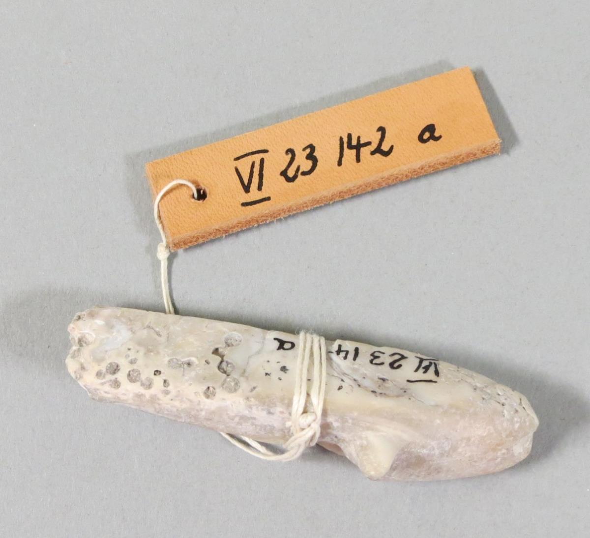 VI 23142 a