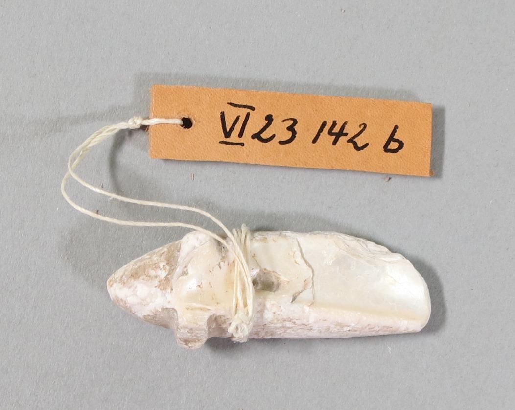 VI 23142 b