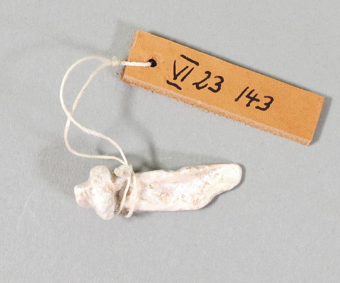 VI 23143