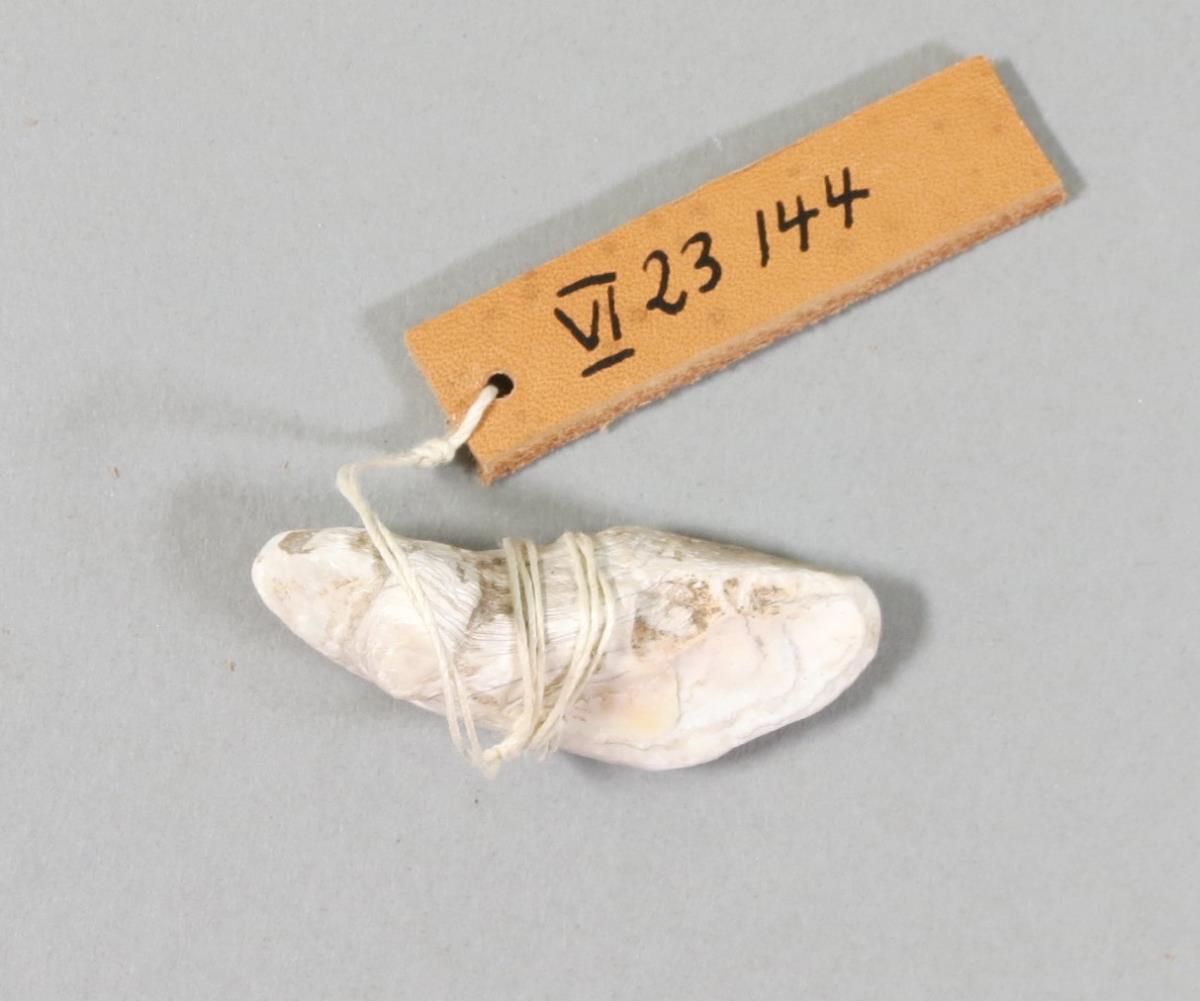 VI 23144