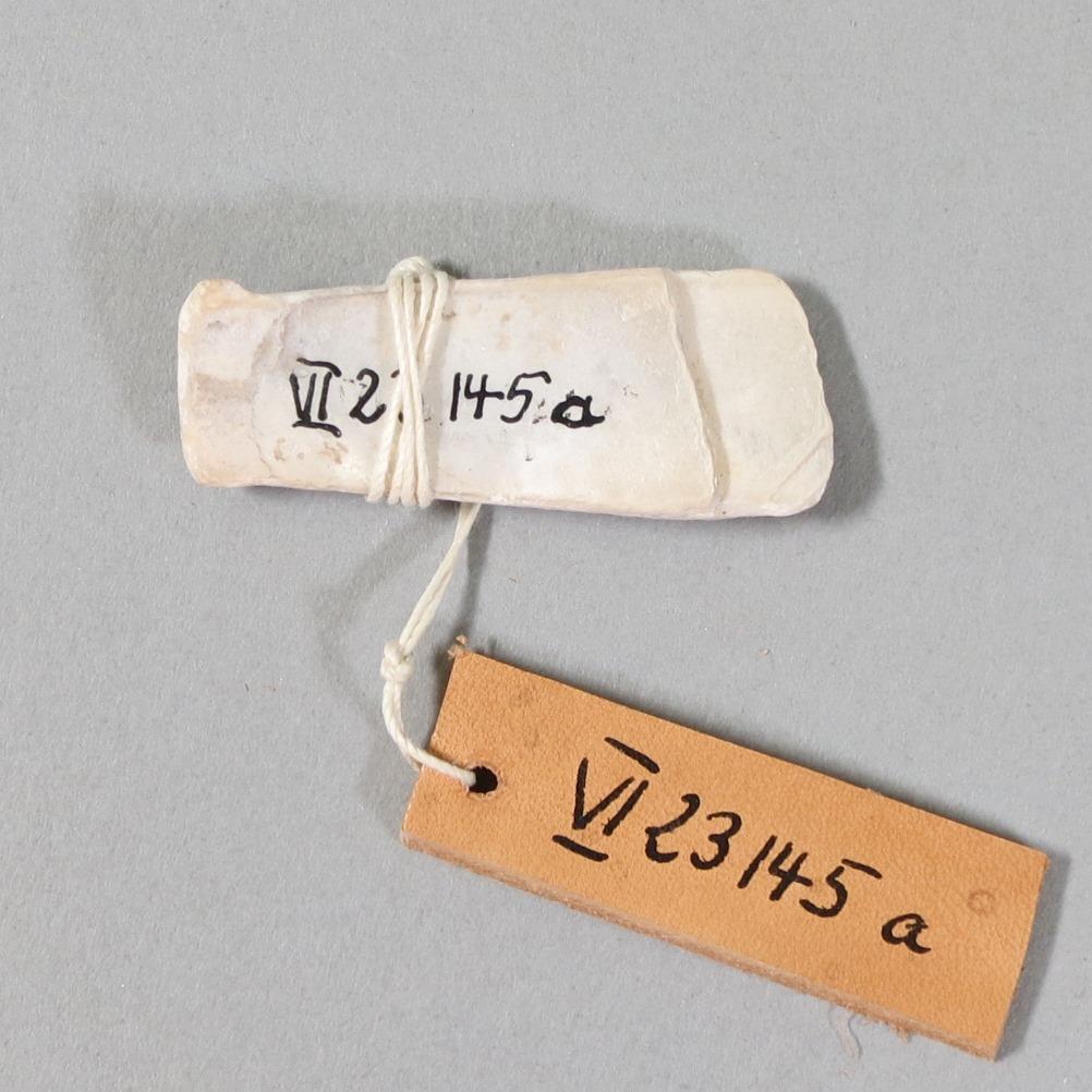 VI 23145 a