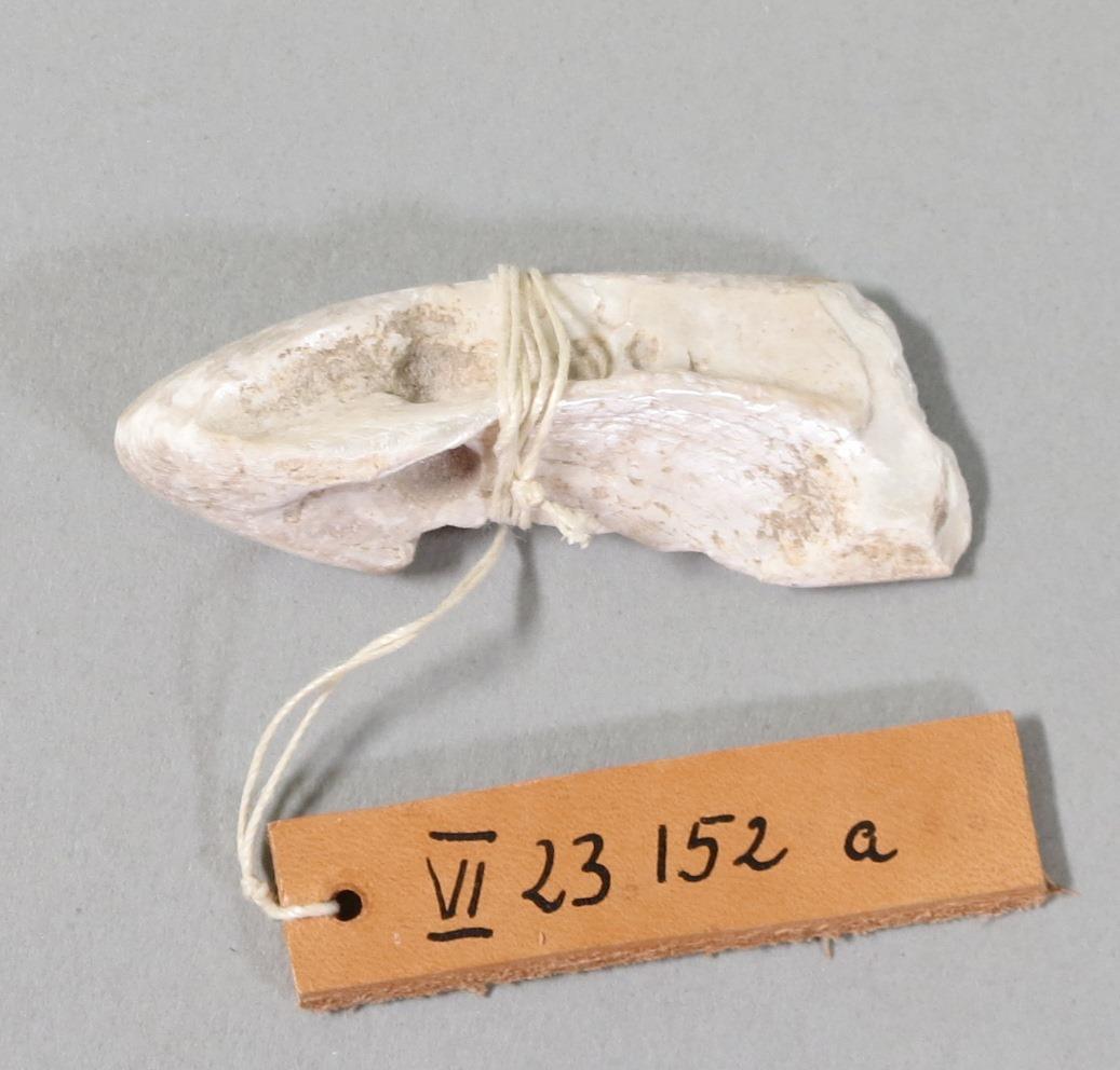 VI 23152 a