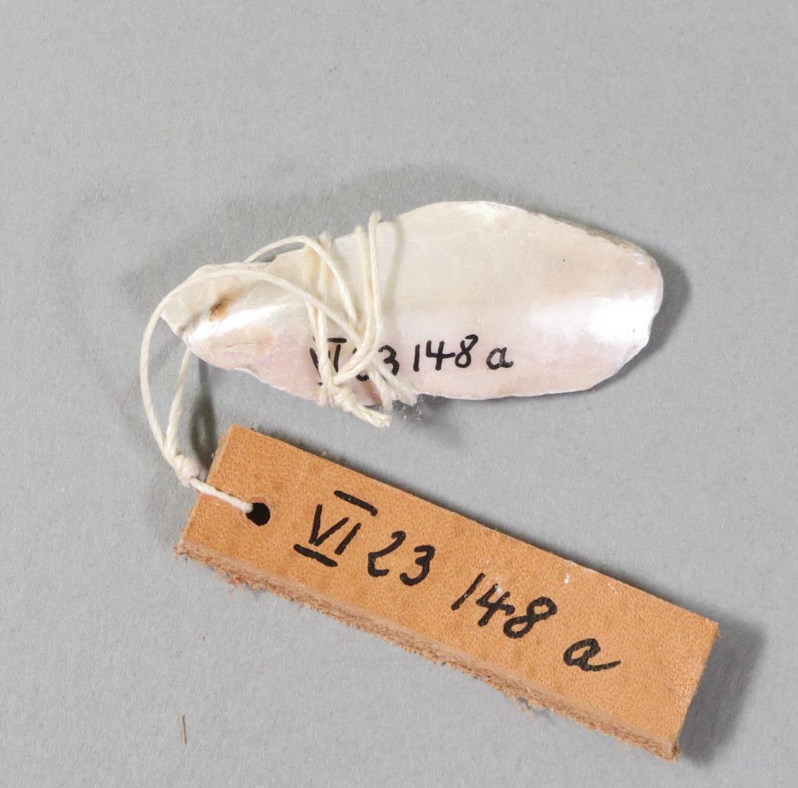 VI 23148 a