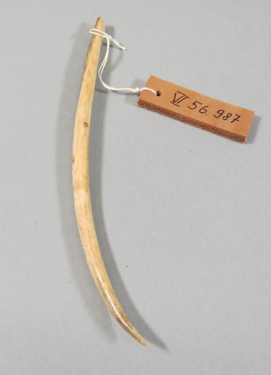 VI 56987
