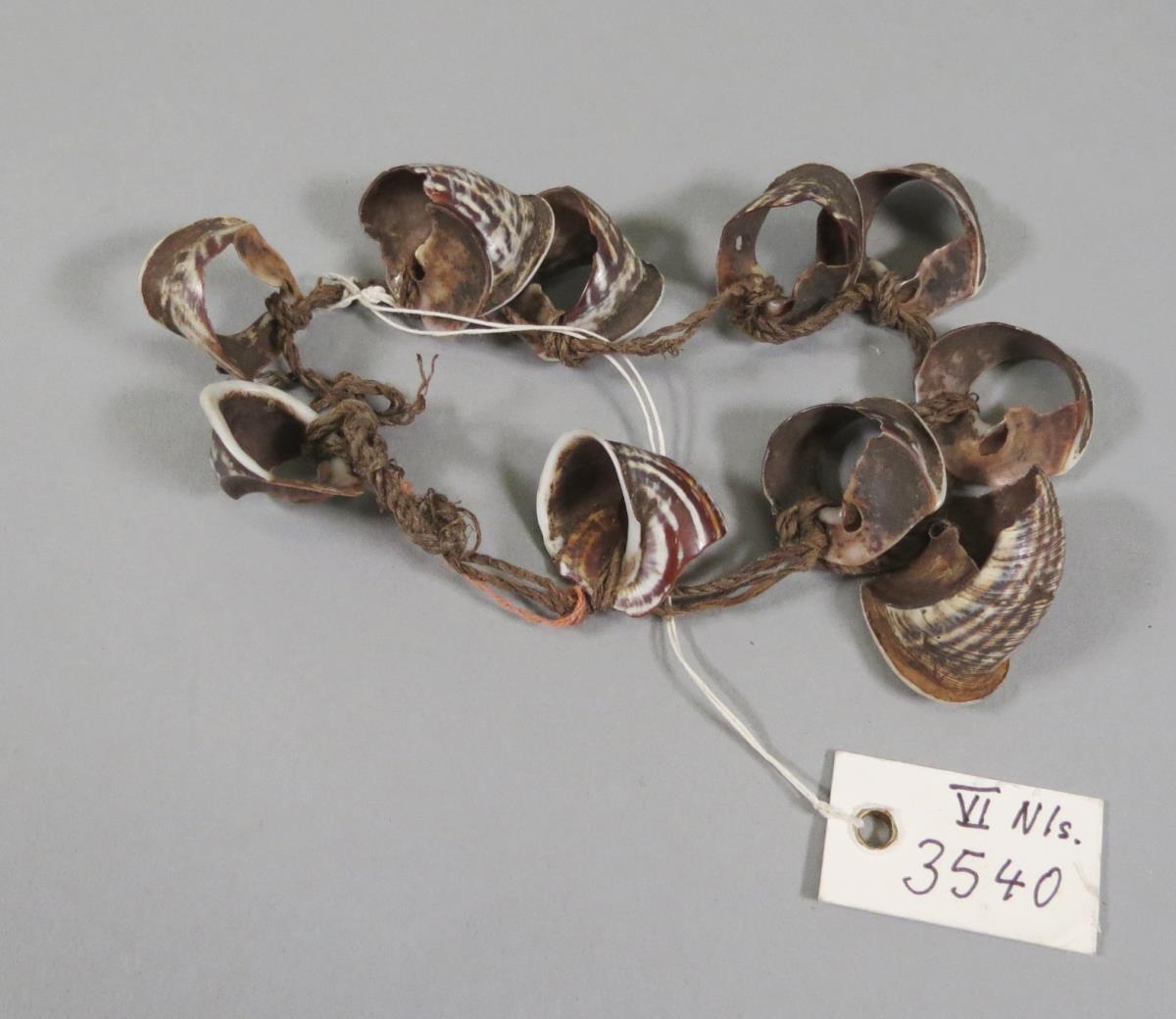VI Nls 3540