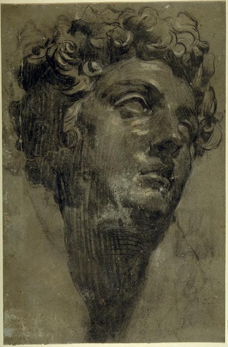Studie nach dem Kopf des Giuliano de' Medici von Michelangelo