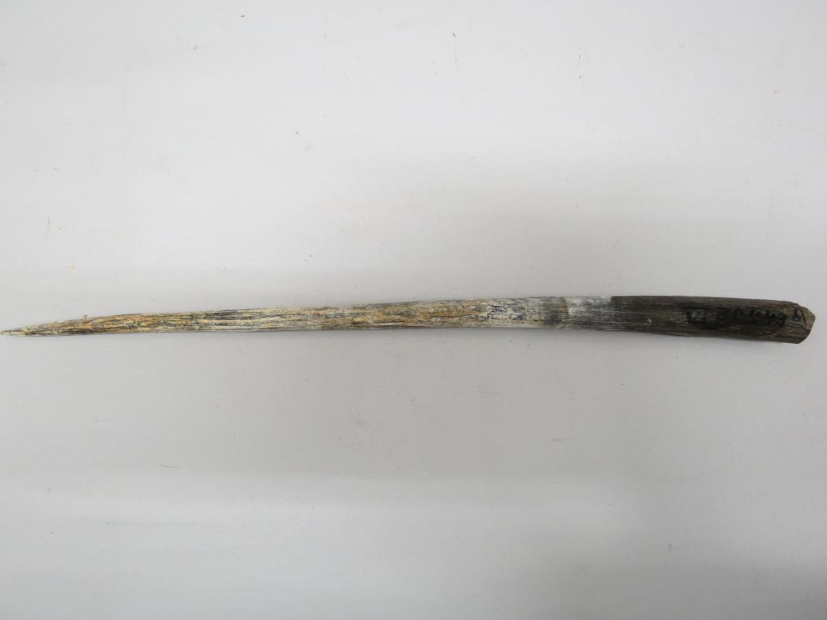 VI 30443 b