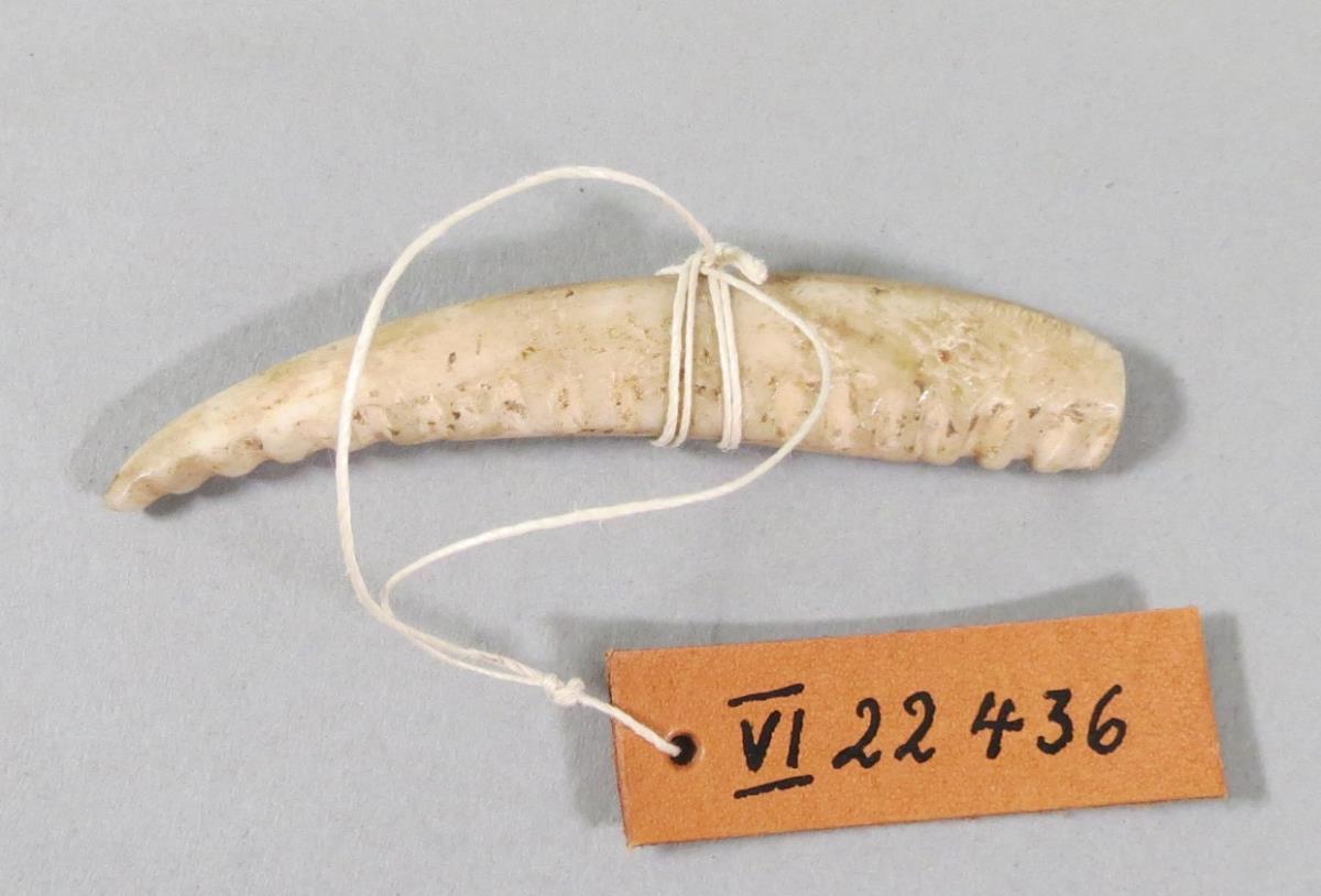 VI 22436