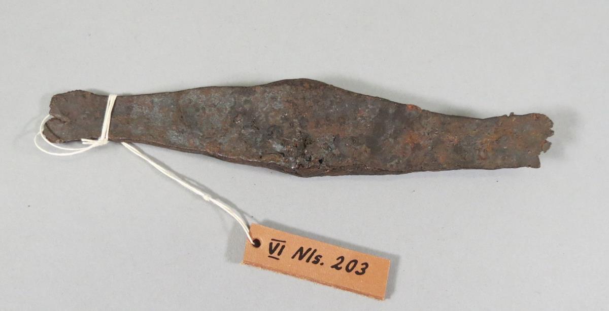VI Nls 203