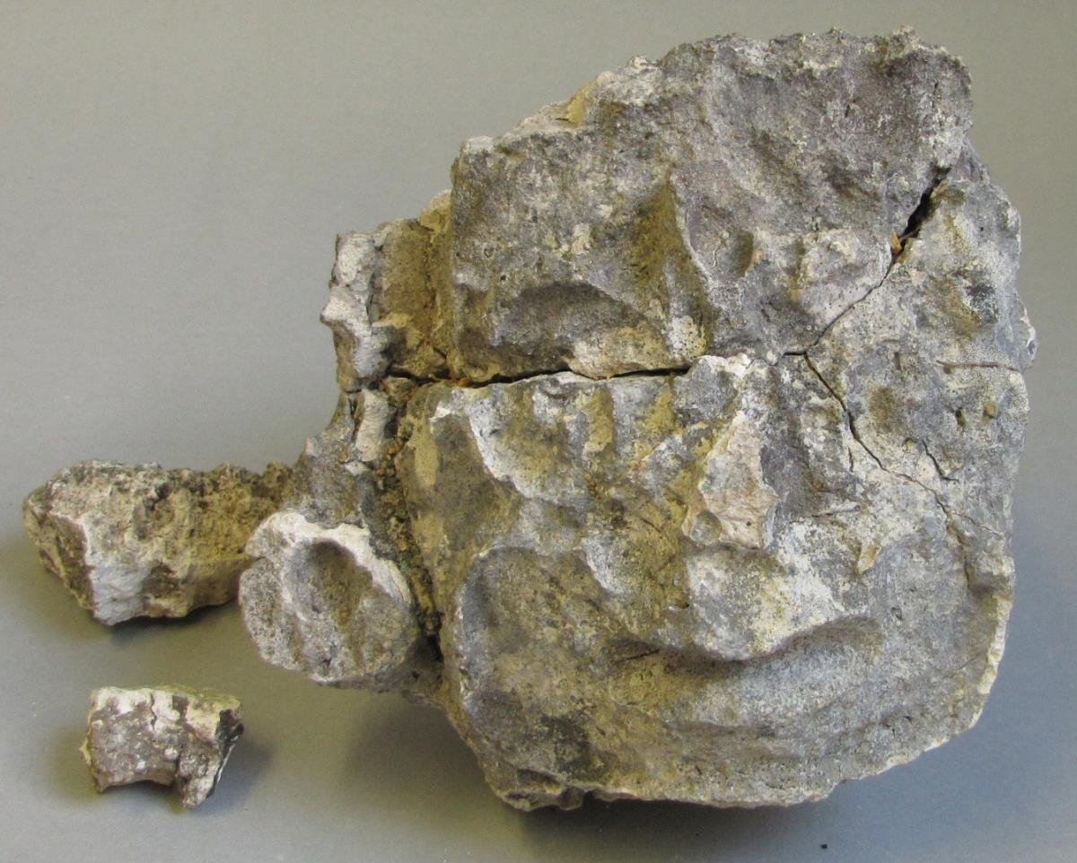 IV Ca 21857